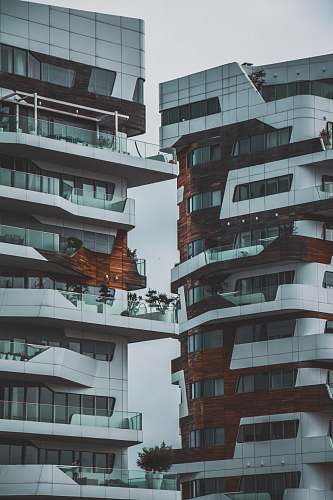 high rise white high rise building town